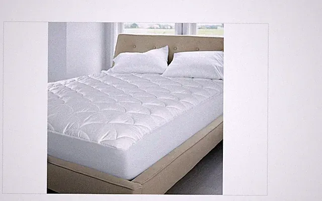 Blue Ridge Home Fashions Damask Dot 350 Thread Count Mattress Pad, One Size