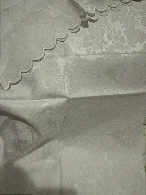 Home Treasures Italy New 2pc Standard Cases Cotton Damask White Defect