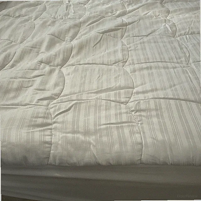 White Queen Mattress Pad 60" x 80" Cover
